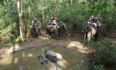 Heritage and Chitwan National Park Tour