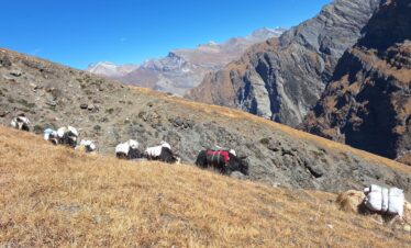 Upper Dolpo and Shey Gompa Trekking